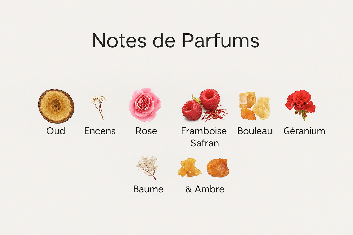 Parfum Ombre Nomade unisexe