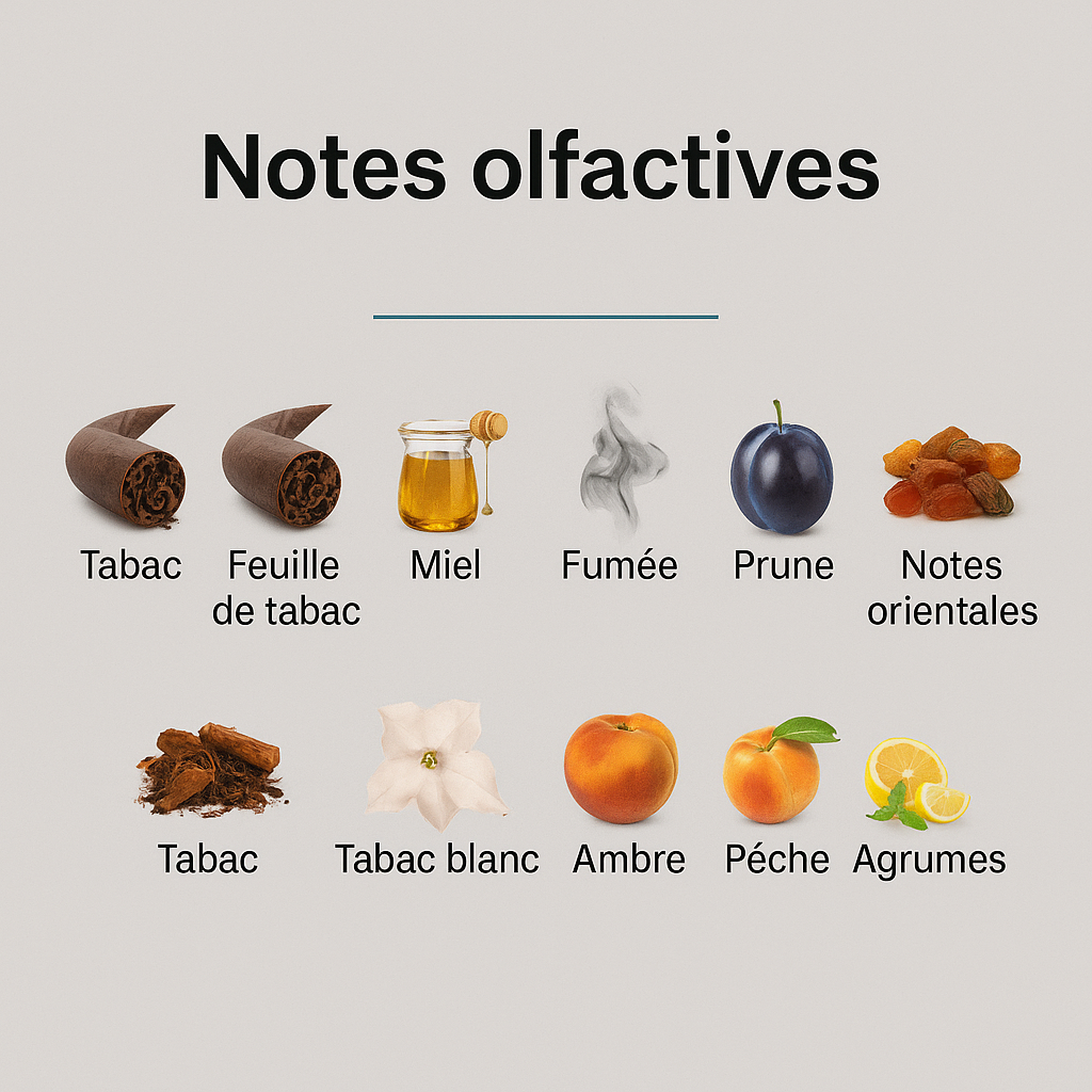 Parfum Tobacolor unisexe