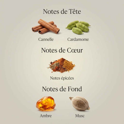 Parfum Ambre Nuit unisexe