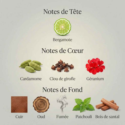 Parfum Leather Oud unisexe